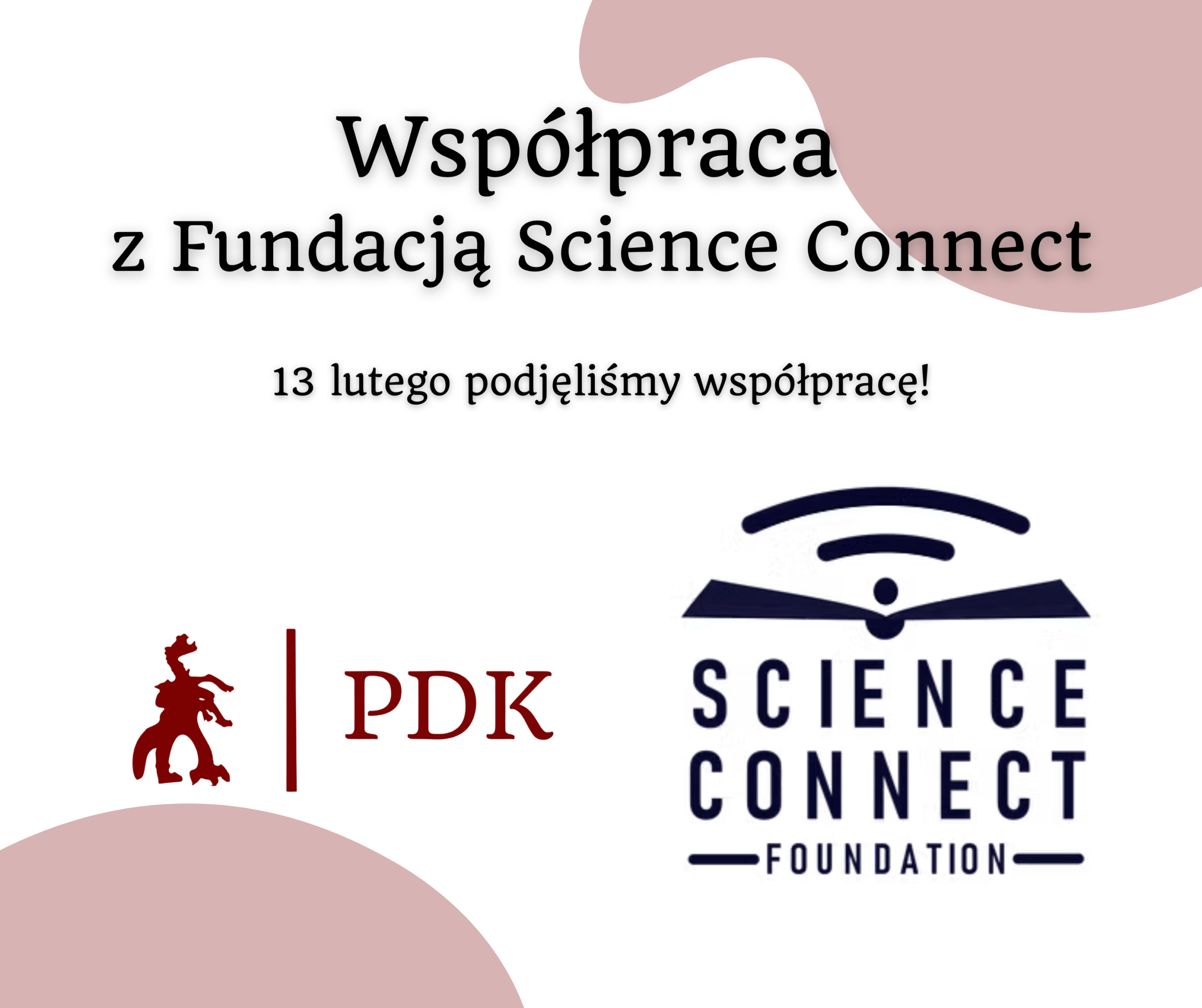 Porozumienie Doktorantów Krakowskich nawiązało współpracę z Fundacją Science Connect!
